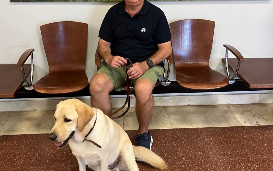 Mi nuevo Timón de cuatro patas